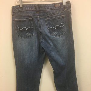 Arae Jeans – Size MP - Distressed Straight Leg